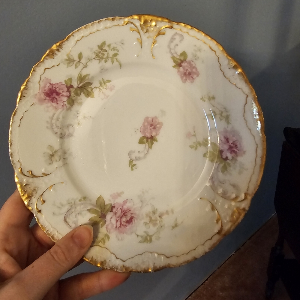 Gorgeous Limoges Designer Plate